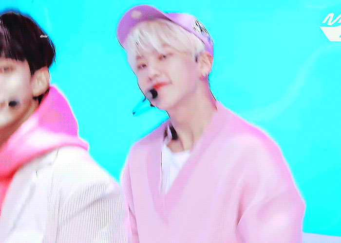 아무리 봐도 햄찌지만 꿋꿋하게 자긴 호랑이라고 믿고 있는 아이돌 | 인스티즈