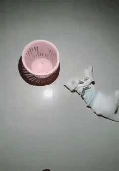 ㄱㅋㅋㅋ나 이거 따라해봣는데 되더라 | 인스티즈