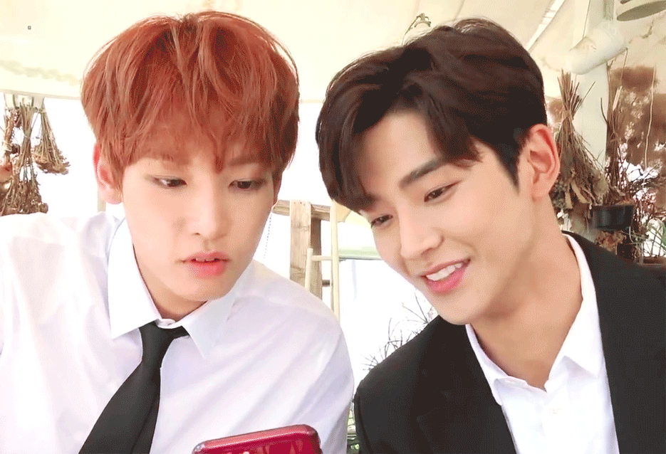 댗청 짤털,, | 인스티즈