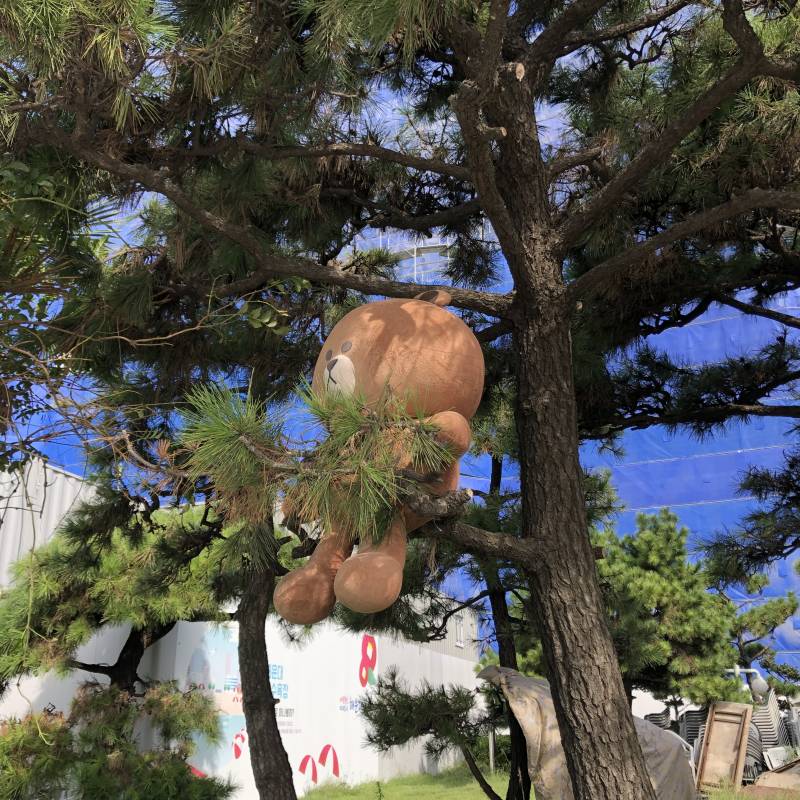 나 금방 해운대바닷가 다녀왔는데 누가 헤어졌나봐 사진0펑x | 인스티즈