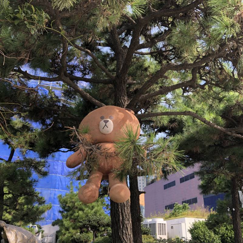 나 금방 해운대바닷가 다녀왔는데 누가 헤어졌나봐 사진0펑x | 인스티즈