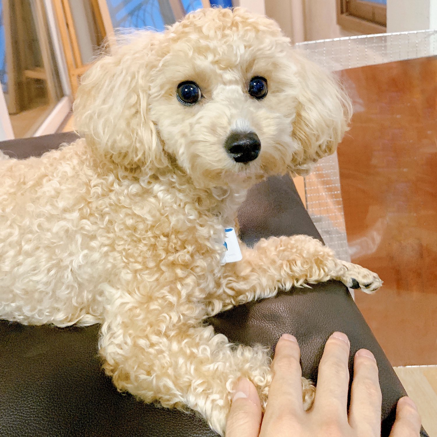 솔직히 윤지성이랑 호듀듀듀 붙여놓으면 | 인스티즈