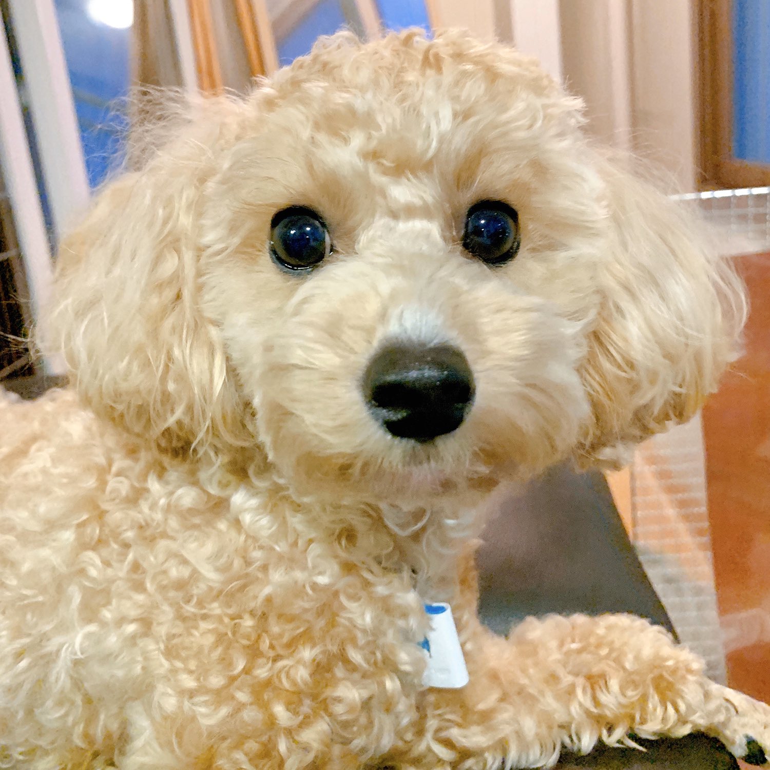 솔직히 윤지성이랑 호듀듀듀 붙여놓으면 | 인스티즈