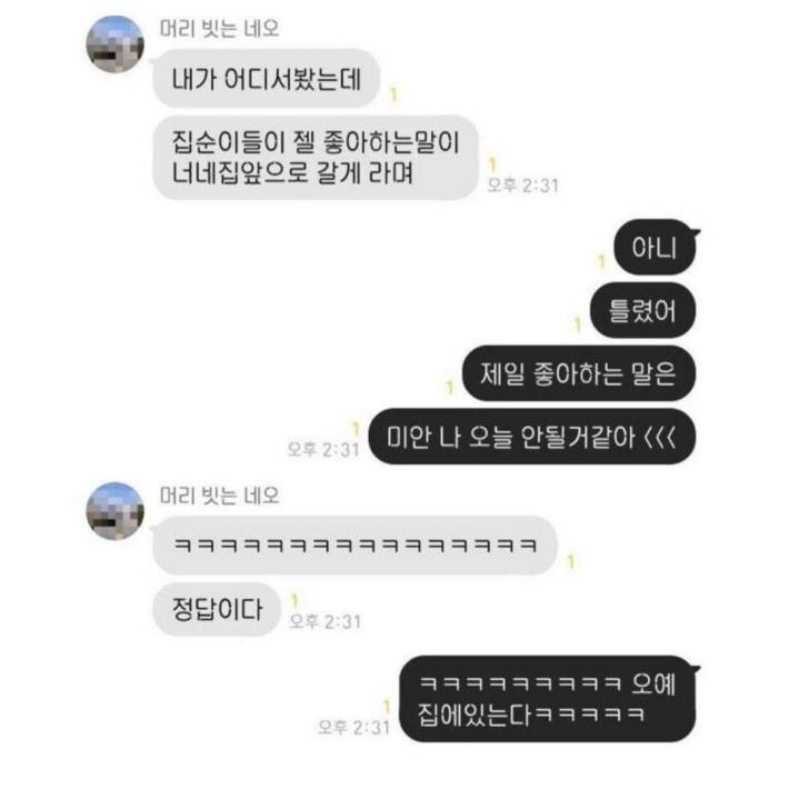 혹시 이 카톡 테마 이름 뭔지 아는익 있을까? | 인스티즈