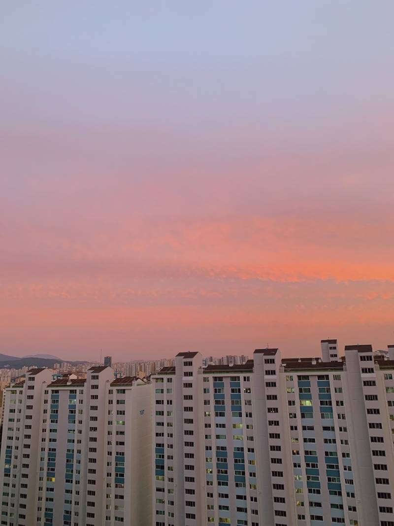 익들아 얼른 고개 들어봐 40 | 인스티즈