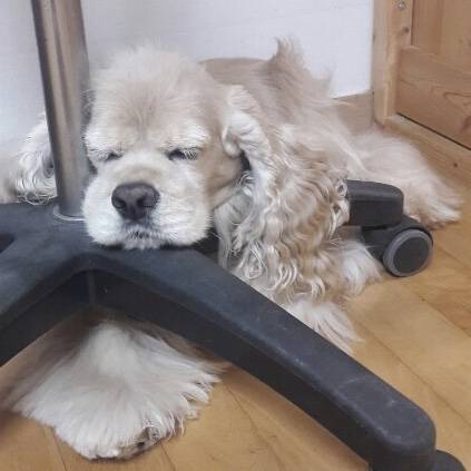 보고싶은 내 갱어지 40 | 인스티즈