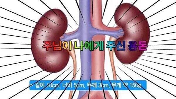 이런 짤 너무 좋아 | 인스티즈
