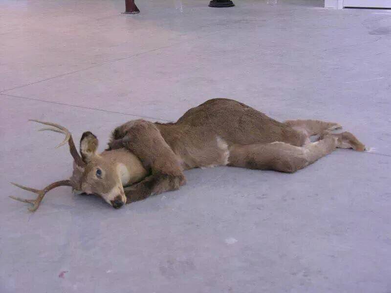 나 오늘도 이렇게 | 인스티즈