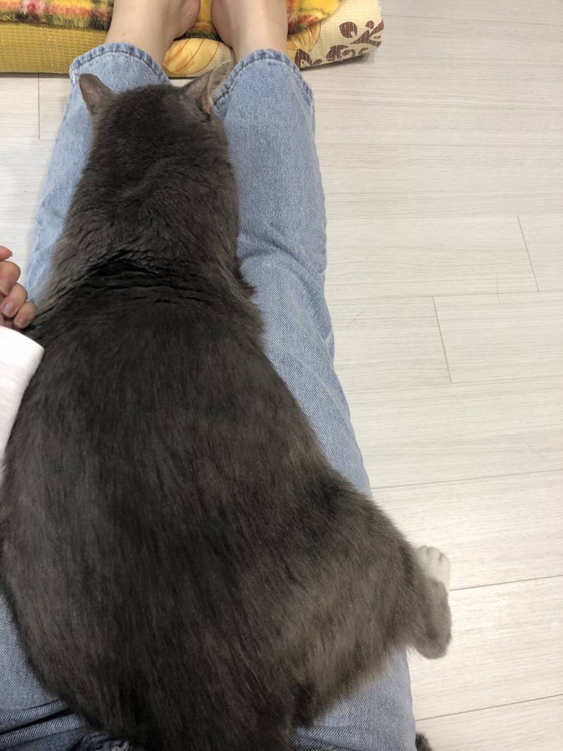 초면에 실례지만 너무 뚱뚱하시네요.... | 인스티즈