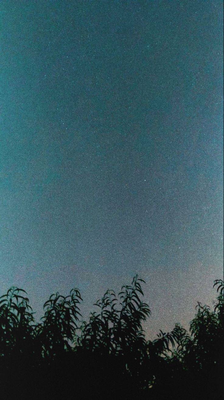 카톡배사 뭐하지 | 인스티즈