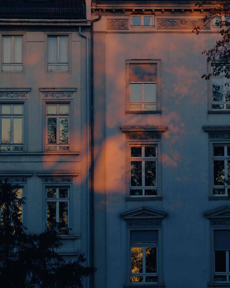 카톡배사 뭐하지 | 인스티즈