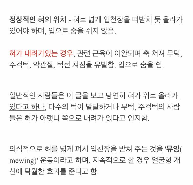 지금 익들 혓바닥 어디있어?? | 인스티즈