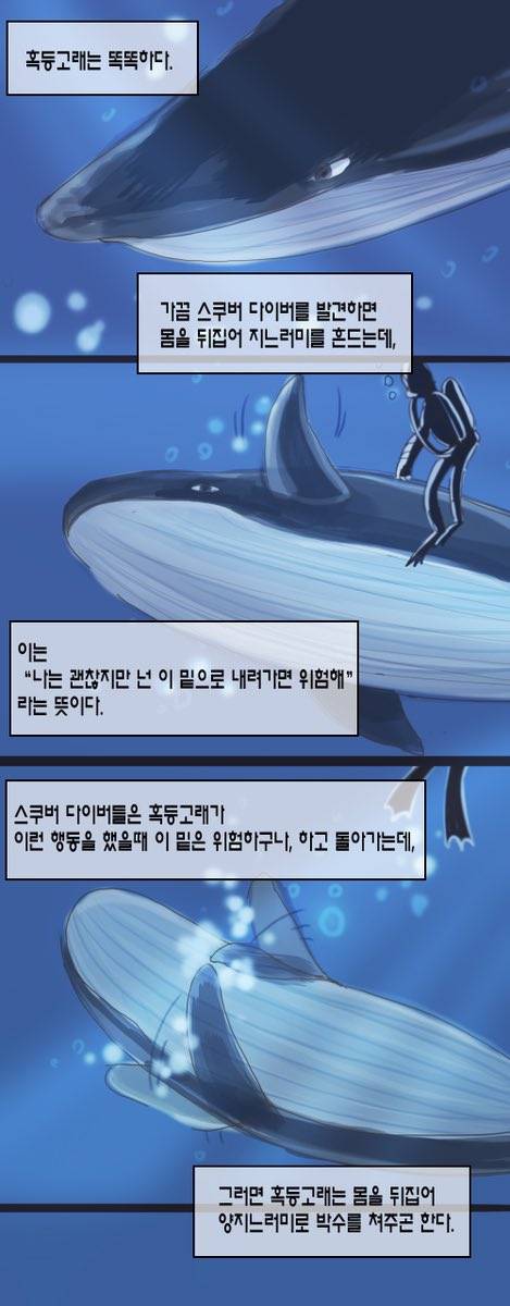 내가 제일 좋아하는 고래 tmi | 인스티즈