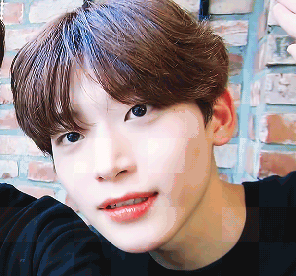 봐도봐도 눈물나는 내 새끼들 | 인스티즈