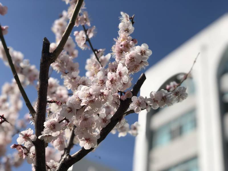 이 틈에 아이폰 인물사진 자랑 ,,,, | 인스티즈