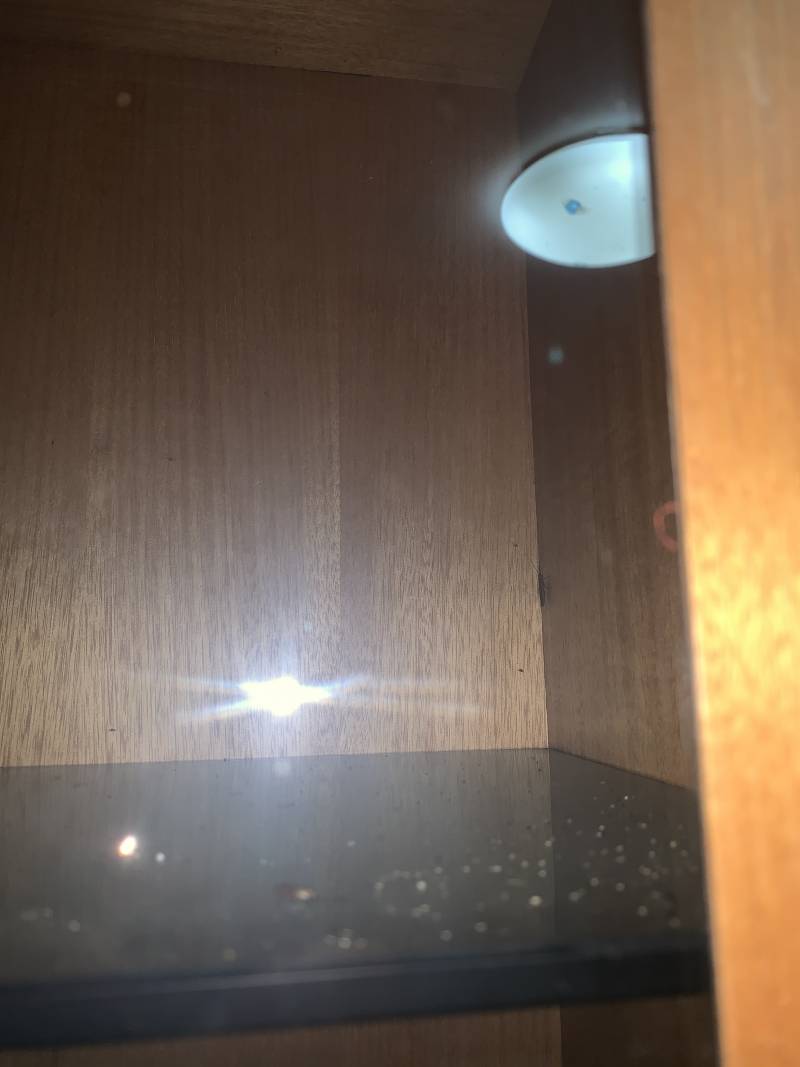 이거 바퀴벌레맞아? 아제발제발 이거 무슨벌레야? (ㅎㅇㅈㅇ) | 인스티즈