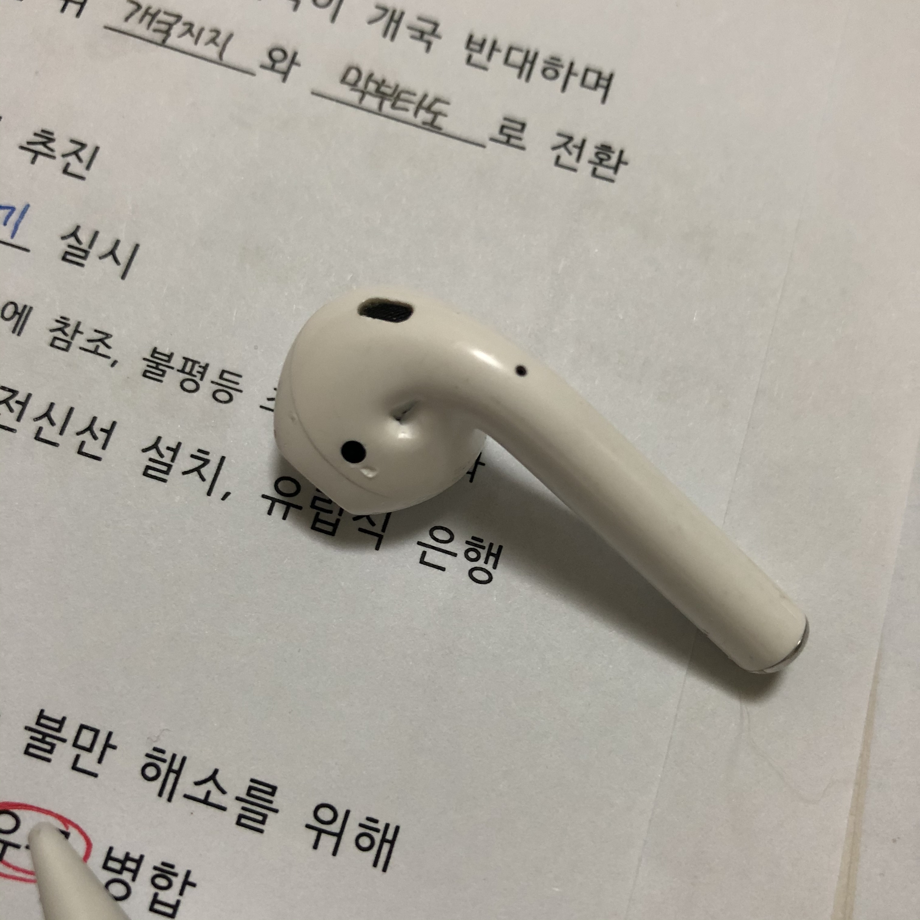 우리 강아지가 에어팟 물었어 | 인스티즈