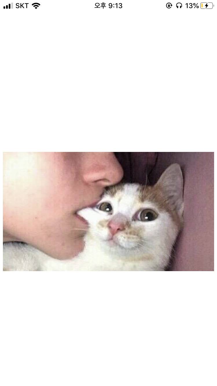 아날로그 앱 나만이래? | 인스티즈