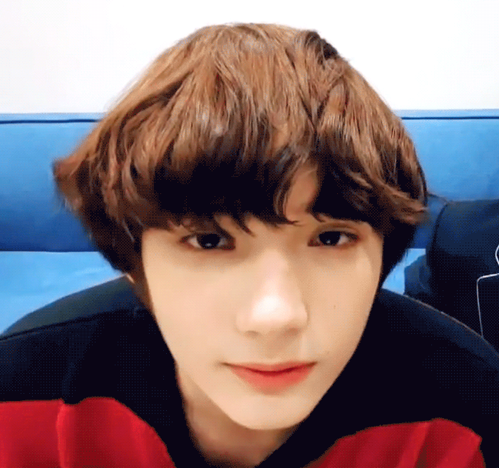 인간 초코송이가 따로 없지 ♥️ | 인스티즈