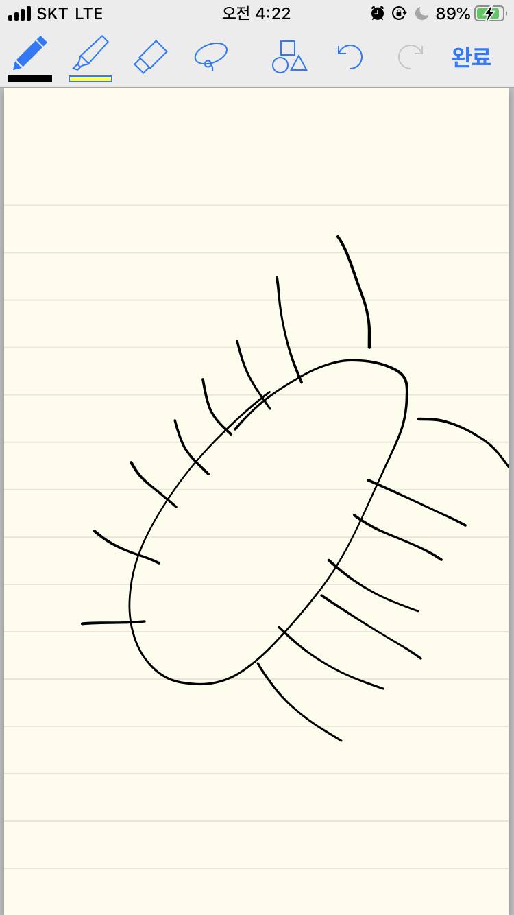 내가 방금 벌레를 봤는데 사진 못찍고 죽였거든?ㅠㅠ 이런 벌레 뭔줄알아? | 인스티즈