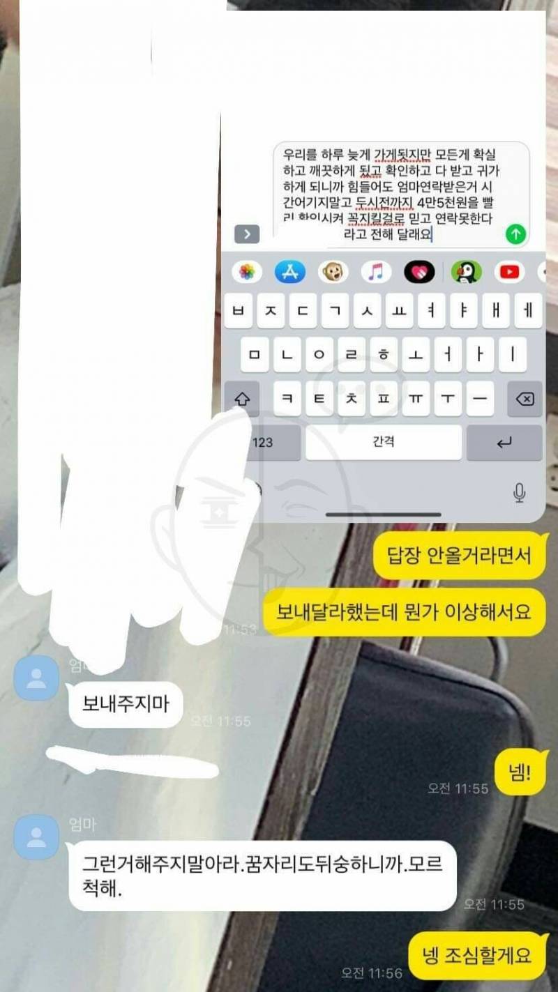 ‼️논란중인 진석이할머니 정리‼️(장기매매) | 인스티즈