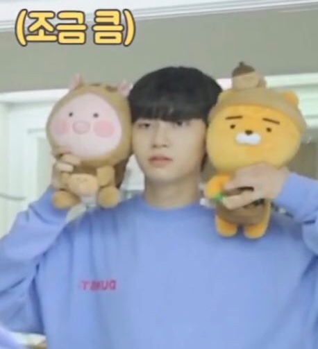 아 이 거대한 대롬지를 어쩌면 좋지 | 인스티즈