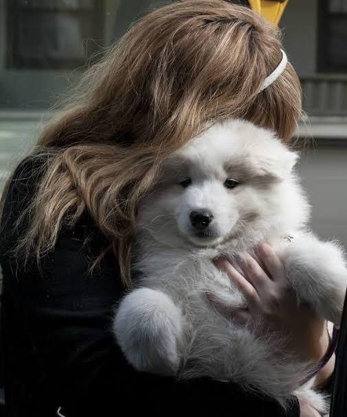 강다니엘 ㅠㅠㅠㅠㅠㅠㅠㅠㅠㅠㅠㅠㅠㅠㅠㅠㅠㅠㅠㅠㅠㅠㅠㅠㅠㅠㅠㅠㅠㅠㅠㅠㅠㅠㅠㅠㅠㅠㅠㅠ | 인스티즈