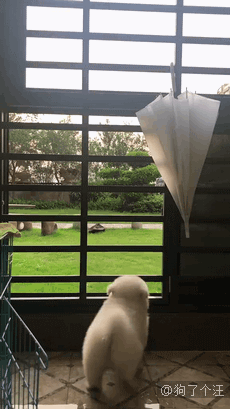 세상 밖으로 나가기가 너무 힘들어.. | 인스티즈