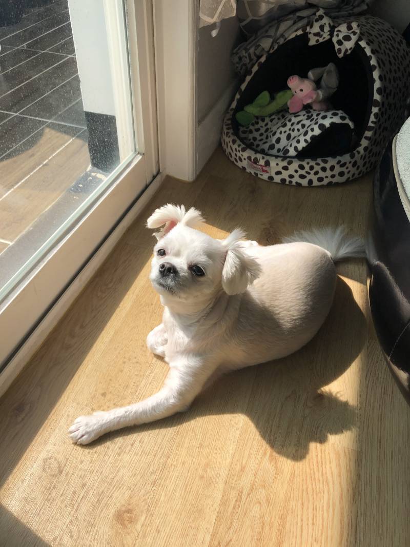 집에서 썬텐중ㅋㅋㅋ 40 | 인스티즈