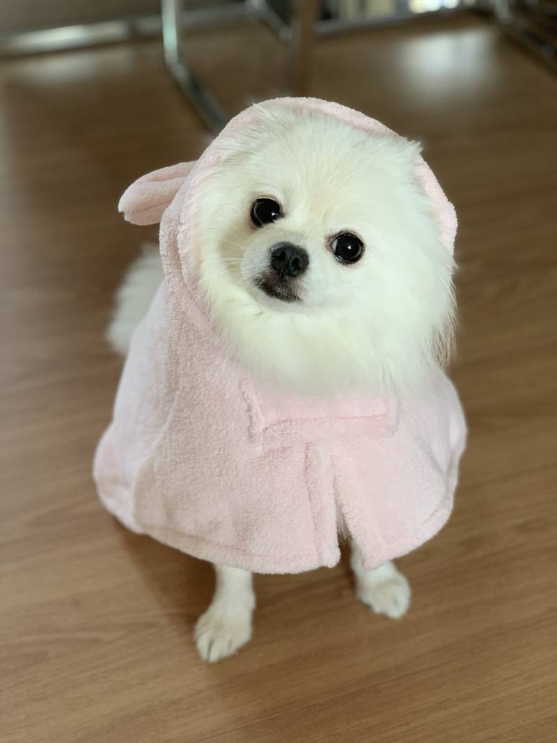 심심한데 얼평해줄사람!!! | 인스티즈