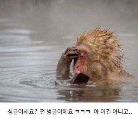 엄마 아들이 이짤 보고 나 남친 답장 기다리는 내 표정이랑 도플갱어 급이래 | 인스티즈