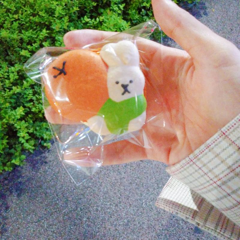 엄청 귀여운 마카롱 샀어 | 인스티즈