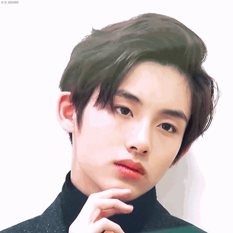 나 좀 도와줘ㅠㅠㅠㅠㅠㅠㅠㅠㅠㅠㅠㅠ아이폰 사진첩 안에서는 움짤 재생되는데 | 인스티즈