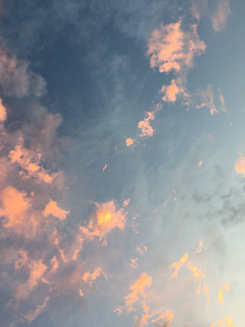 오늘 하늘 대박이야 짱 예뿌 | 인스티즈