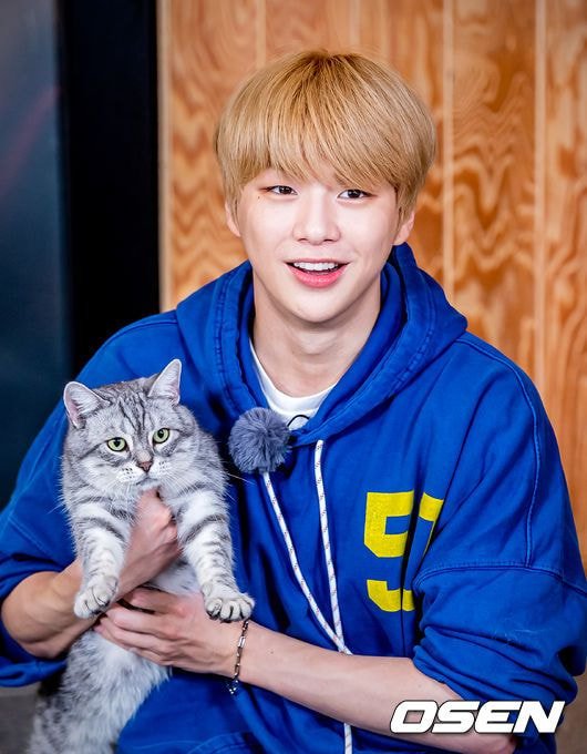 그래서 강다니엘 이 사진은 뭔데 | 인스티즈