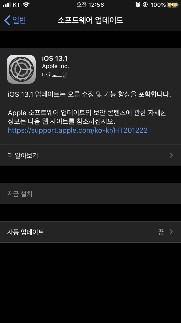 아이폰 13.1 왜 업뎃 안되는 걸까 나는 ㅠㅠ | 인스티즈