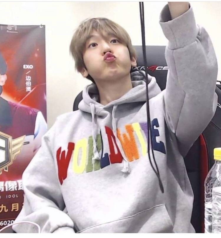 👊👊후드 살말?!?!👊👊 | 인스티즈