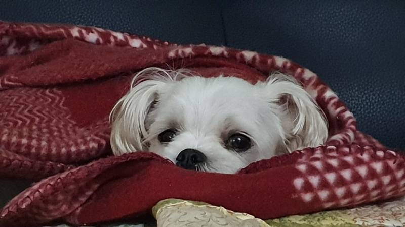 너무 기엽지 않니 | 인스티즈