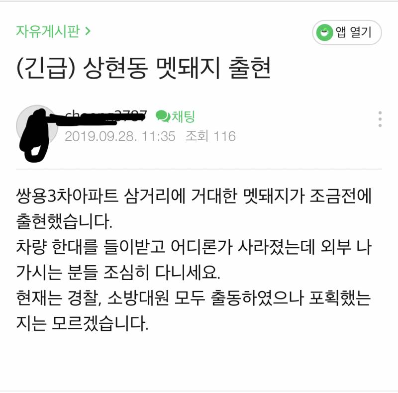 아니 이게 무슨 일 우리 동네에 멧돼지 나왔어 | 인스티즈