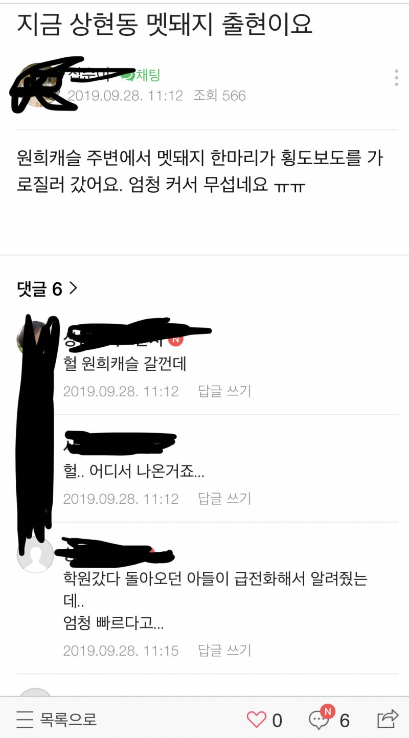 아니 이게 무슨 일 우리 동네에 멧돼지 나왔어 | 인스티즈