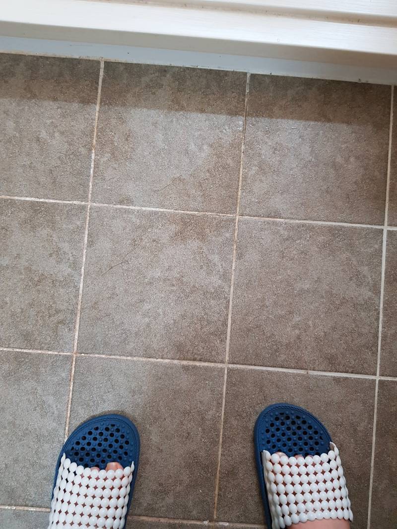 지금 똥싸는 사람?? 나 똥싼당 | 인스티즈