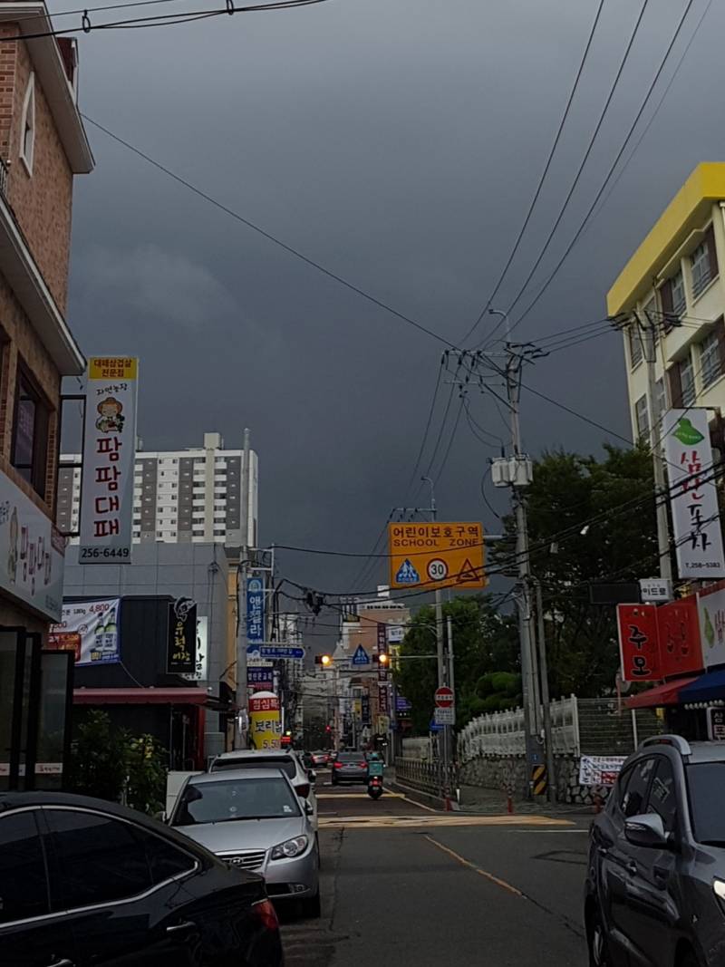 울산에 유독가스때메 하늘 까매진거봐 | 인스티즈