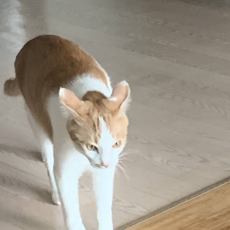 삼양라면111 육개장라면222 | 인스티즈