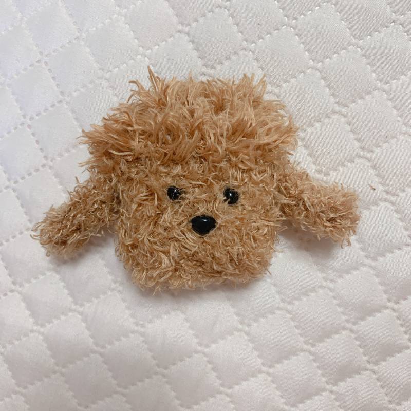 에어팟 케이스가 너무 못생겨서 보여주고 싶은데 | 인스티즈