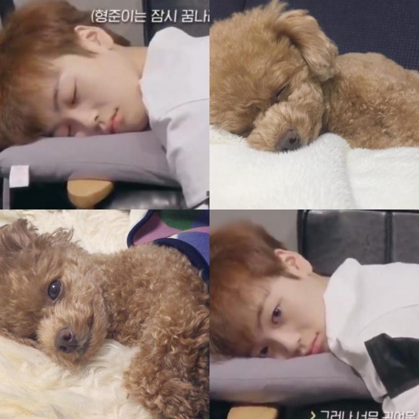 헐 진짜 멤버들은 얘를 뭘로 생각하는거임?????(ㅈㅇ ㅇㅅㅇ) | 인스티즈