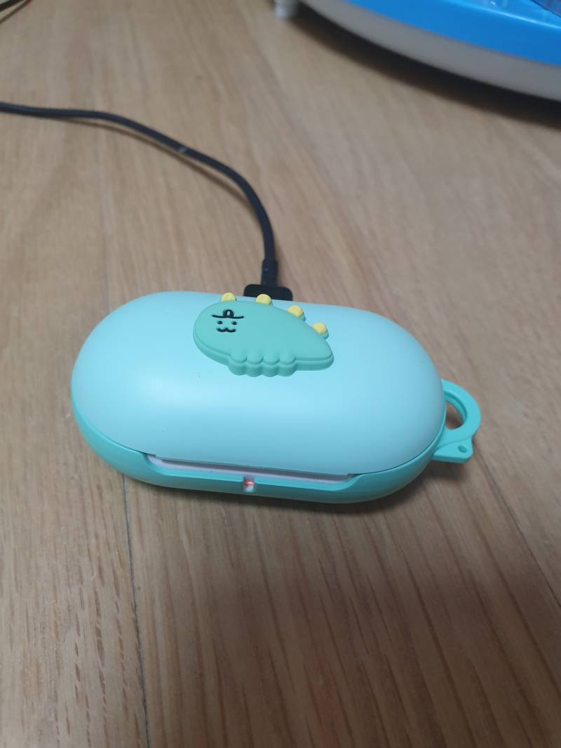 죠르디 버즈케이스 귀엽징 40 | 인스티즈