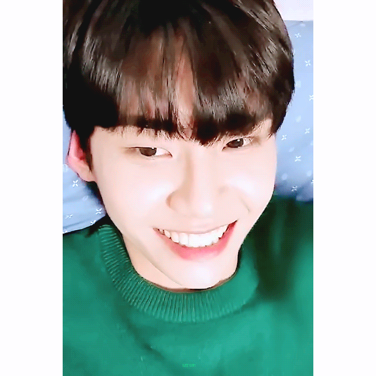 이진혁 다시 생각해 보니까 진짜 fox네.. | 인스티즈