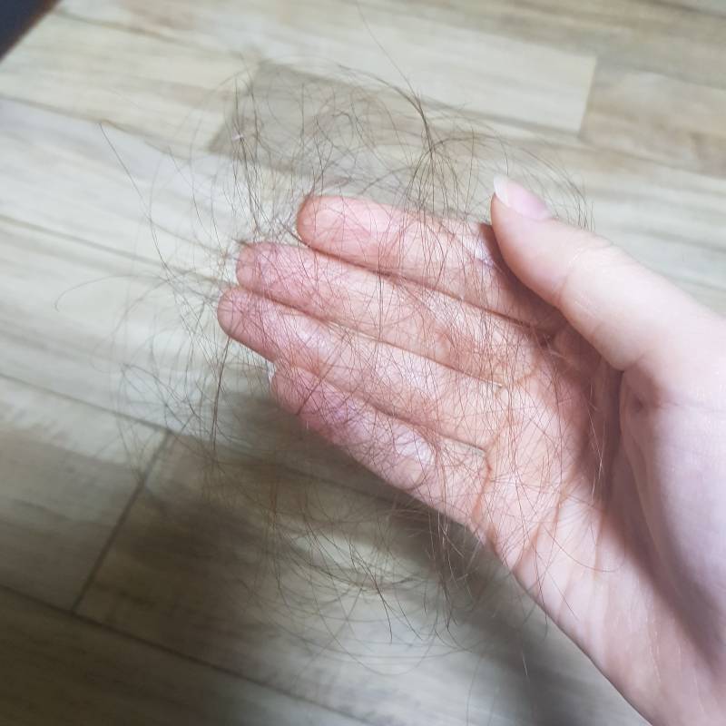 익두라 머리 감을때마다 이만큼씩 빠지는거 탈모각 아니야...?ㅠㅠㅠㅠ | 인스티즈