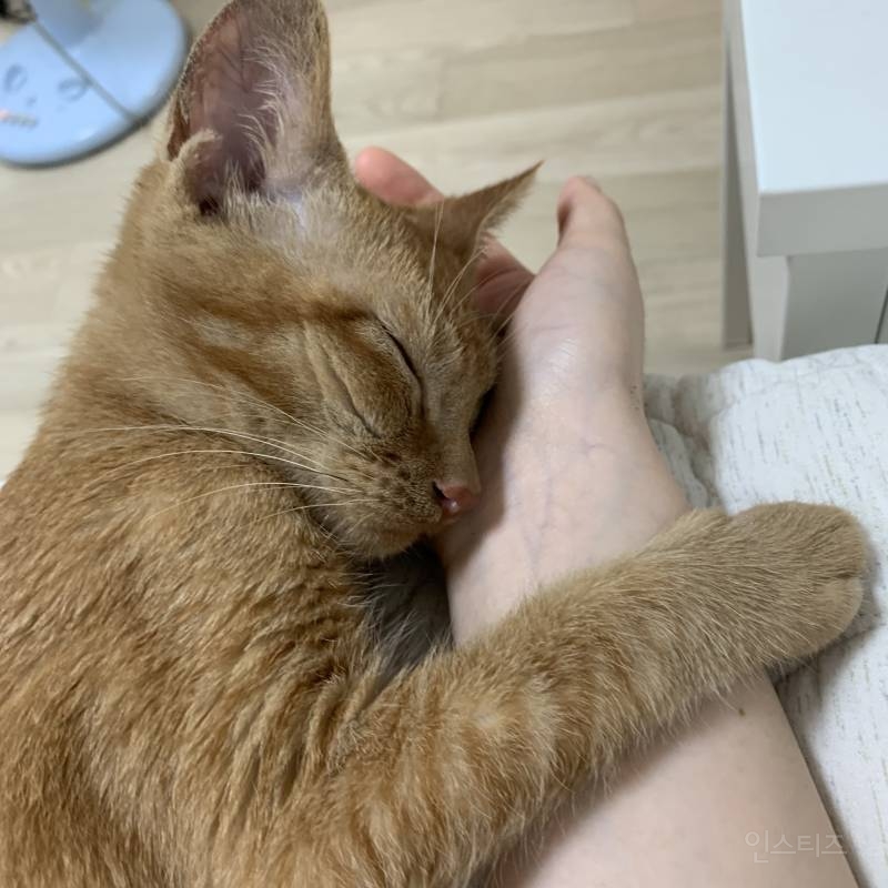 와ㅏㅏ오아ㅏㅏ아ㅏ익드라 울애기 이빨빠젺어 하ㅜㅜㅜㅜㅜㅠㅜㅝㅜㅜ | 인스티즈