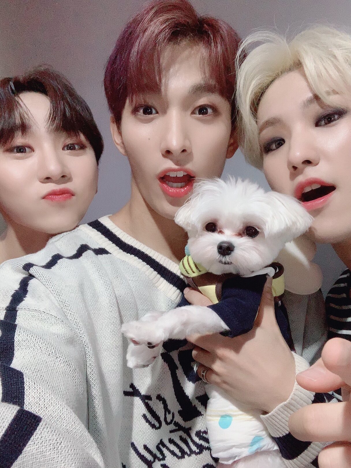 세븐틴 부석순 컴백해.. | 인스티즈